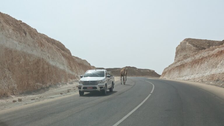 First iRAP Assessment in Oman