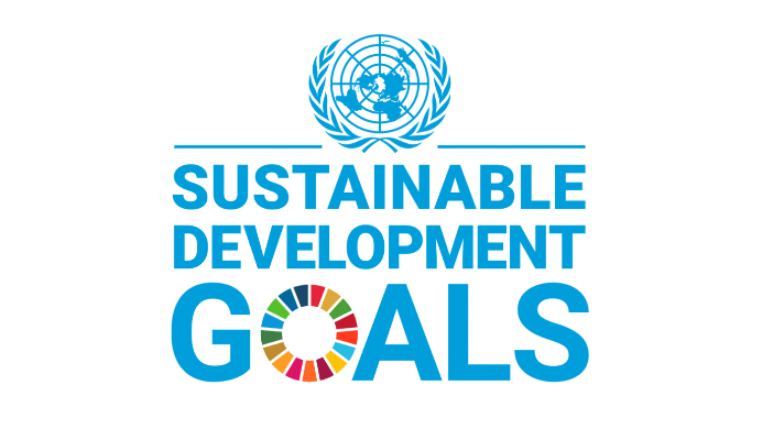WHO new publications integrate the RAP global standard for safer road infrastructure