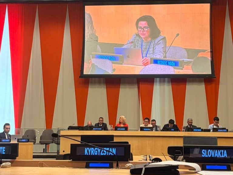Multi-Stakeholder Hearing Ahead of the UN High-level Meeting